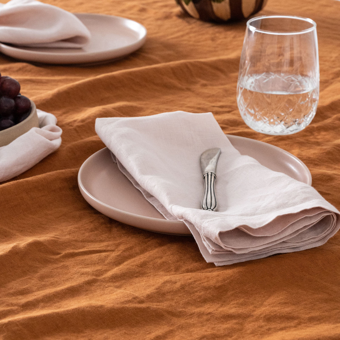 100% Linen Napkin Set