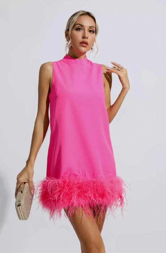 Pink A-Line Dress | Mini Dress | Crepe Dress | Feather Dress